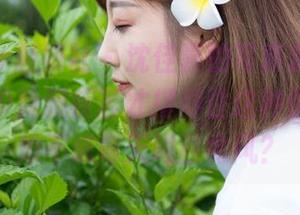 MiStar魅妍社 – 沈佳熹的写真套装，这得有多少隐藏疾苦才撑得住这种优雅啊，难不成每天喝西北风？
