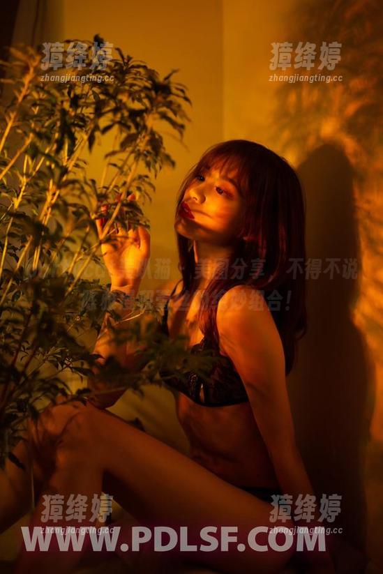 partycat轰趴猫 - 美图分享，不得不说陈雅漫和蕾丝的绝妙组合！