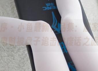 少女秩序 – 小鱼最新作品集：居家萝莉，充电时被盘子追击的废话之旅！